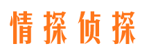 海伦寻人公司